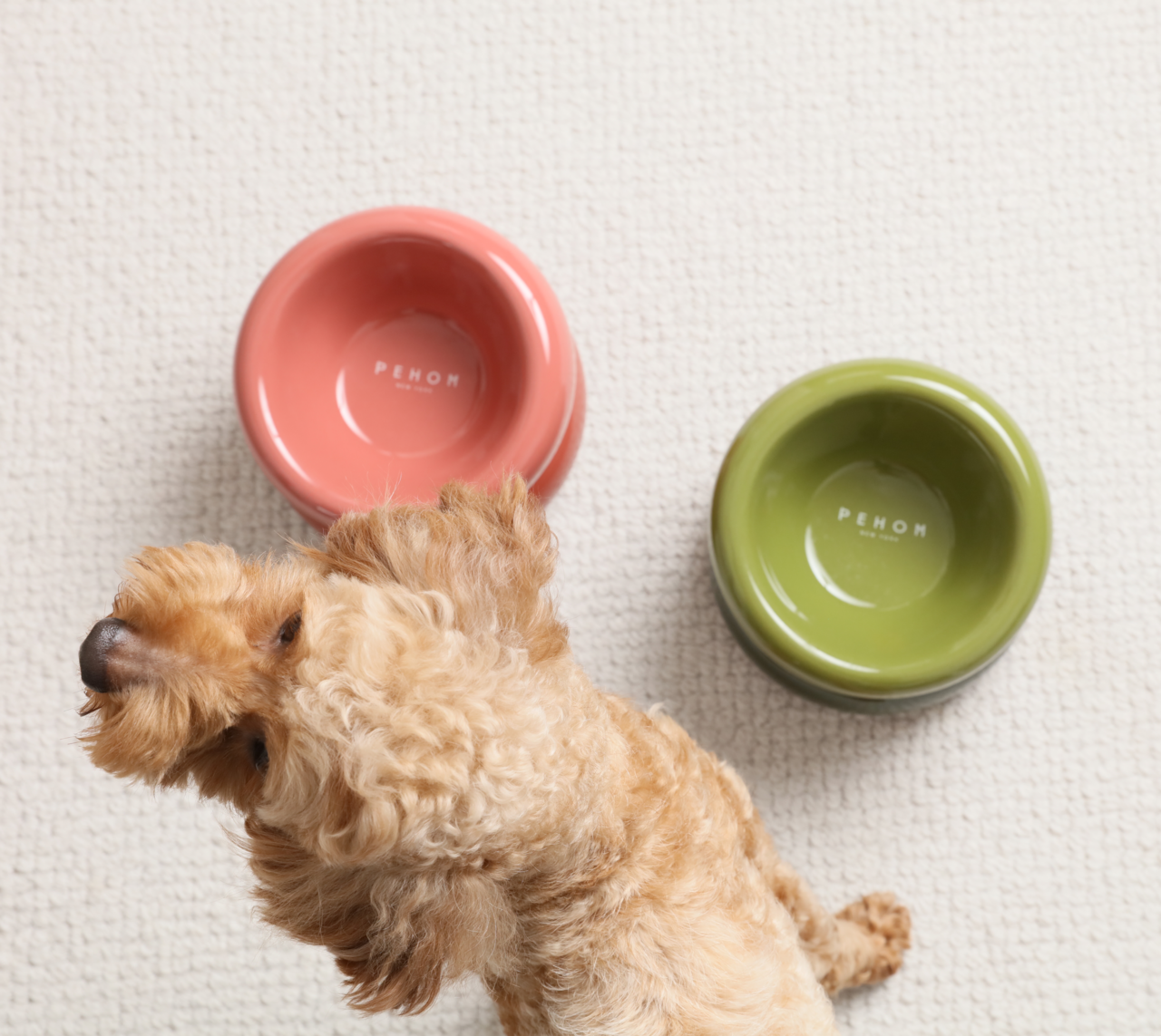 Elevated Soufflé Pet Bowl – Anti-Slip Ceramic Design (Amber Orange)
