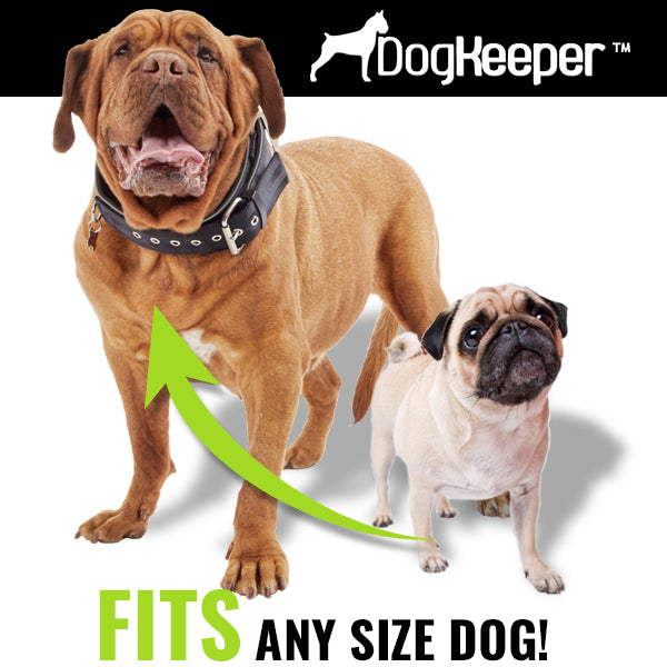 360° Swivel Dog Tie-Out Stake - DogKeeper Outdoor Pet Tether (US Shipped)