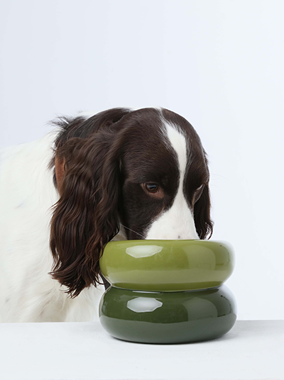 Elevated Soufflé Pet Bowl – Anti-Slip Ceramic Design (Avocado Green)