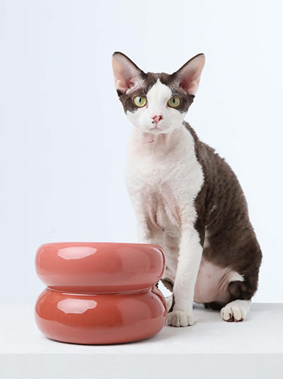 Elevated Soufflé Pet Bowl – Anti-Slip Ceramic Design (Rose Pink)