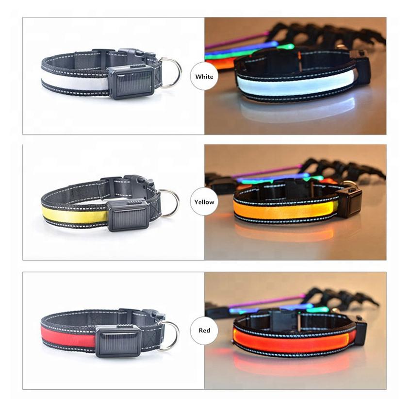 USB + Solar Rechargeable LED Dog Collar – Reflective & Weatherproof
