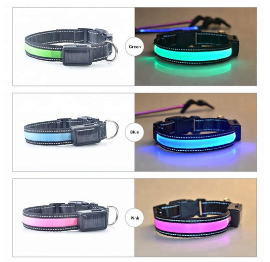 USB + Solar Rechargeable LED Dog Collar – Reflective & Weatherproof