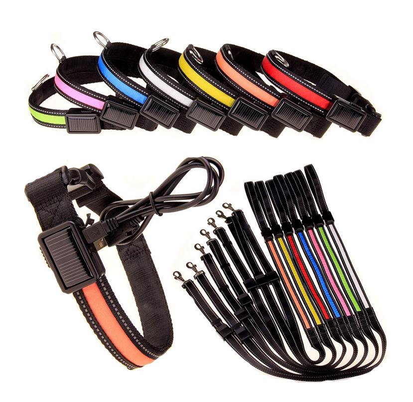 USB + Solar Rechargeable LED Dog Collar – Reflective & Weatherproof