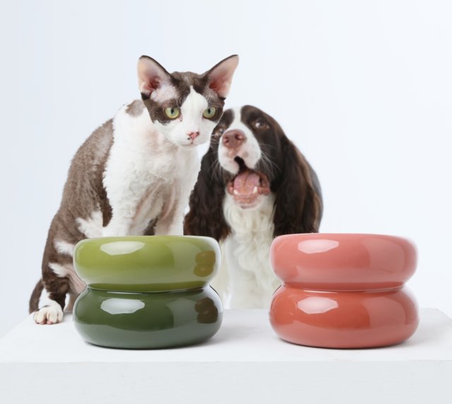 Elevated Soufflé Pet Bowl – Anti-Slip Ceramic Design (Avocado Green)