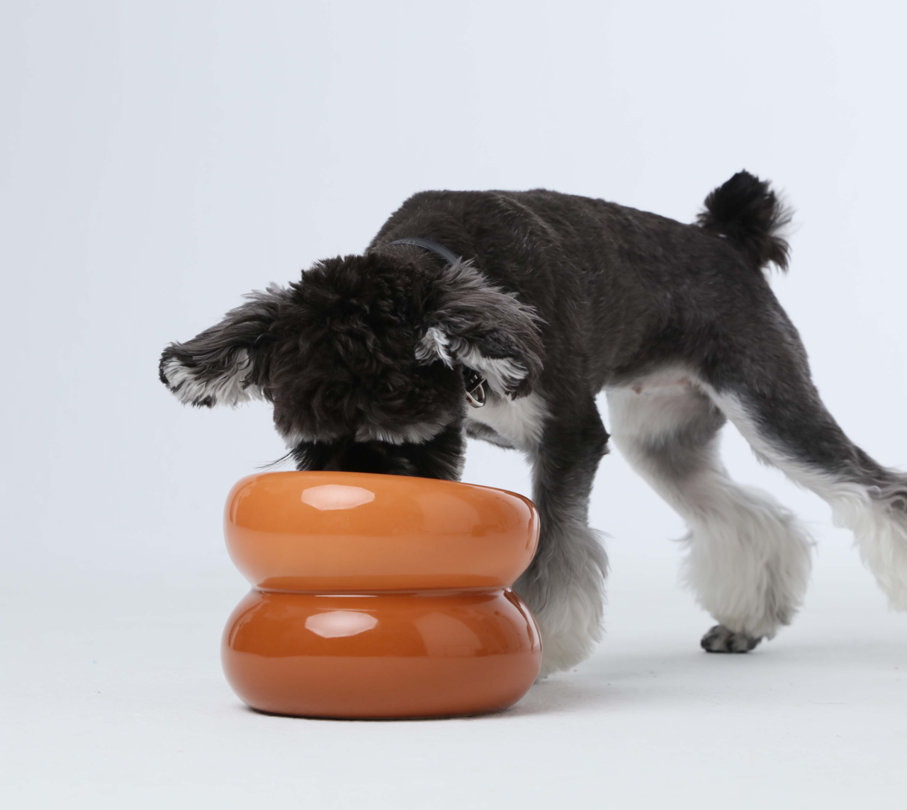 Elevated Soufflé Pet Bowl – Anti-Slip Ceramic Design (Amber Orange)