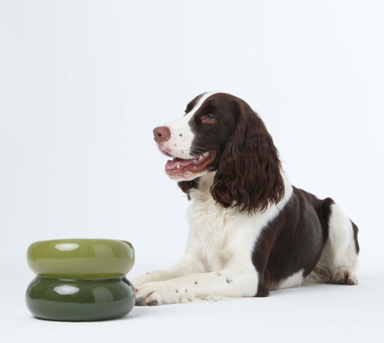 Elevated Soufflé Pet Bowl – Anti-Slip Ceramic Design (Avocado Green)