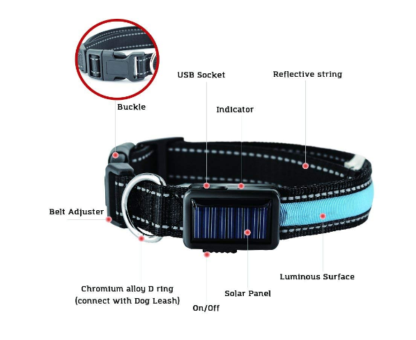 USB + Solar Rechargeable LED Dog Collar – Reflective & Weatherproof