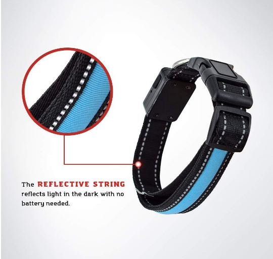 USB + Solar Rechargeable LED Dog Collar – Reflective & Weatherproof