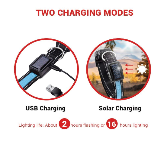 USB + Solar Rechargeable LED Dog Collar – Reflective & Weatherproof
