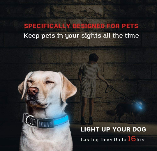 USB + Solar Rechargeable LED Dog Collar – Reflective & Weatherproof