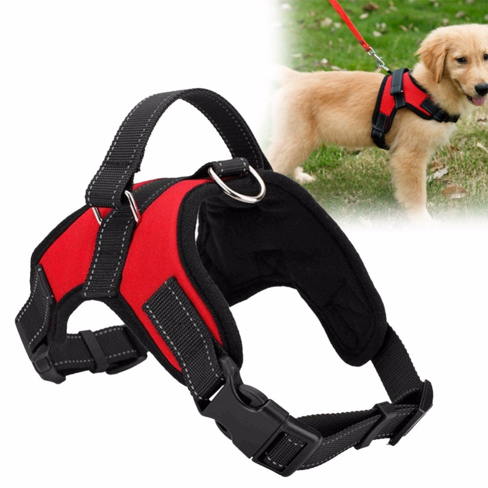 Adjustable No-Pull Dog Harness – Secure, Comfortable Fit