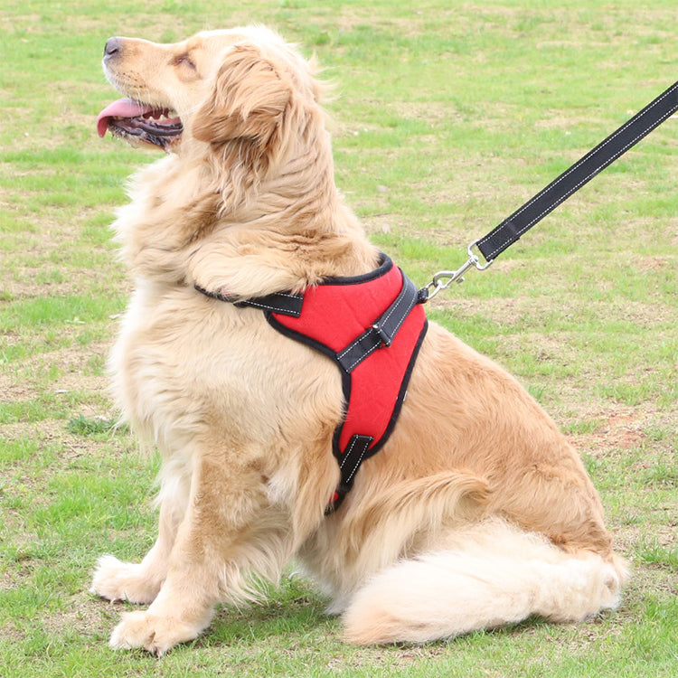 Adjustable No-Pull Dog Harness – Secure, Comfortable Fit